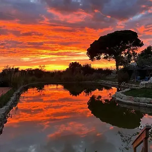 Tente de luxe Oasis Camp Portugal